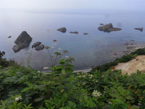 20110728_306.JPG