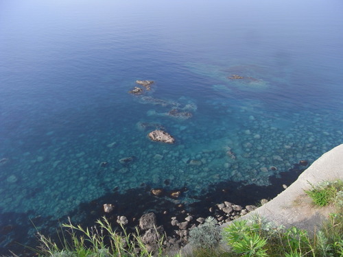 20110728_319.JPG