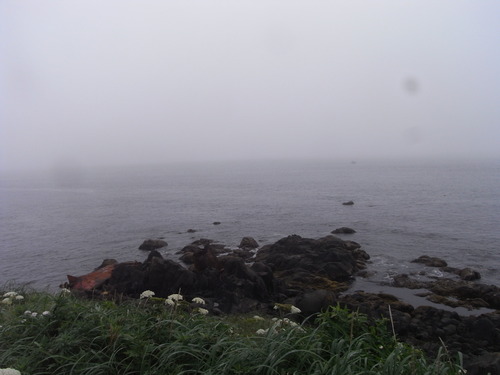 20110801_372.JPG