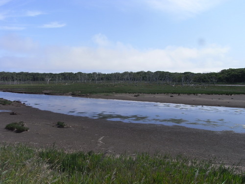 20110801_391.JPG