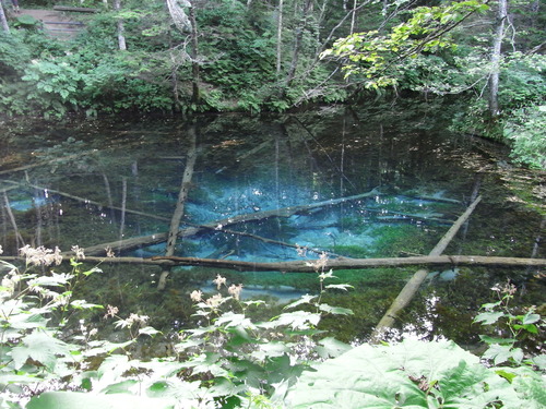 20110801_412.JPG