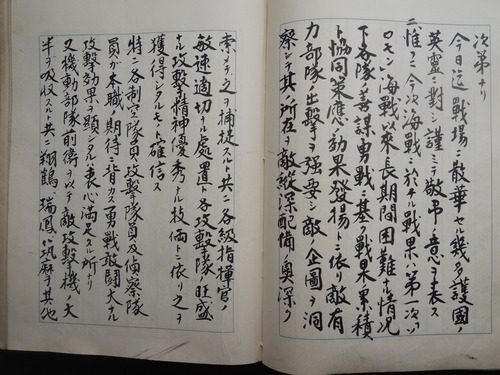 DSCN5529.JPG